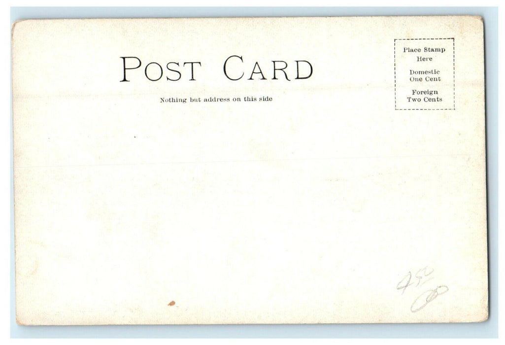 c1905 Lagoon At Jackson Park And Wooden Island Boat Chicago Illinois IL Postcard