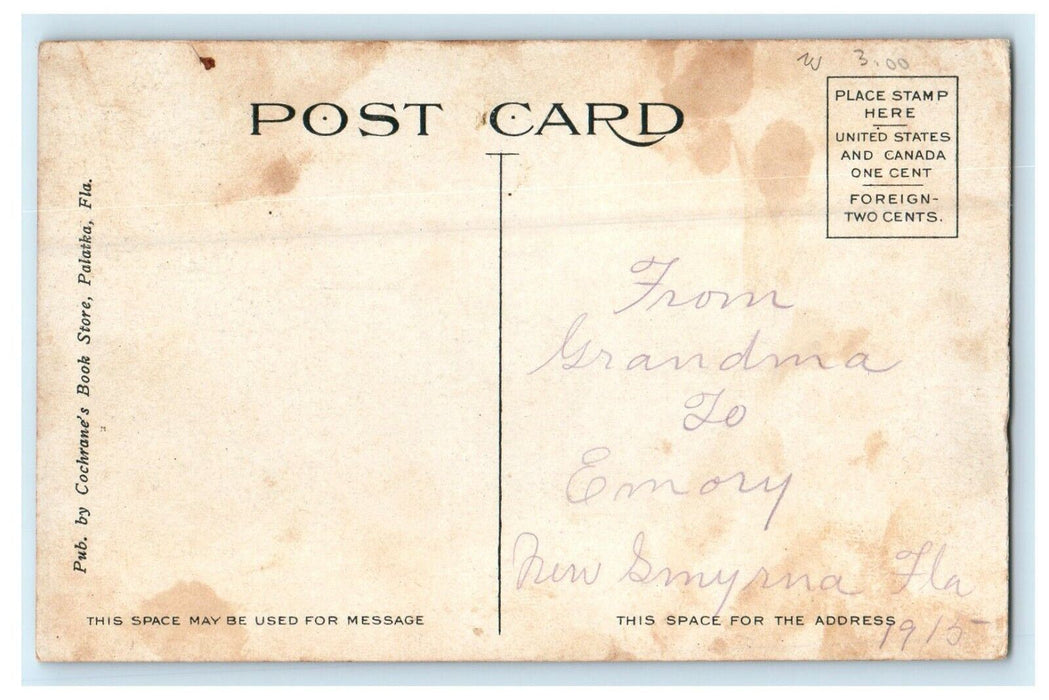 1915 Seminole Indians A Bride And Groom Florida FL Antique Postcard RARE