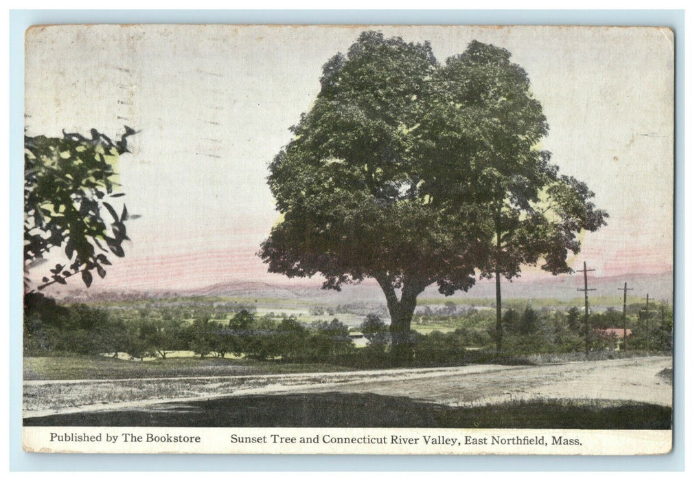 1921 Sunset Tree Connecticut River East Northfield Massachusetts Posted Postcard