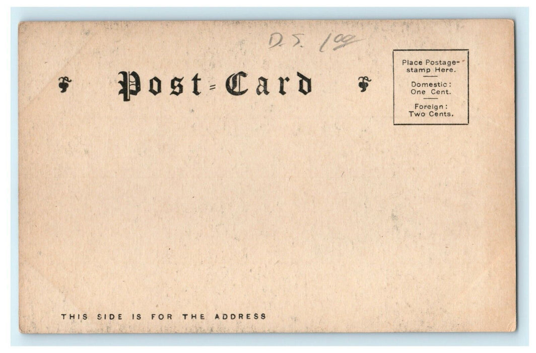 c1905 Fellsway West Entrance to Middlesex Fells Massachusetts MA Postcard