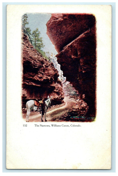 The Narrow Williams Canon Between Rock Colorado CO Unposted Antique Postcard