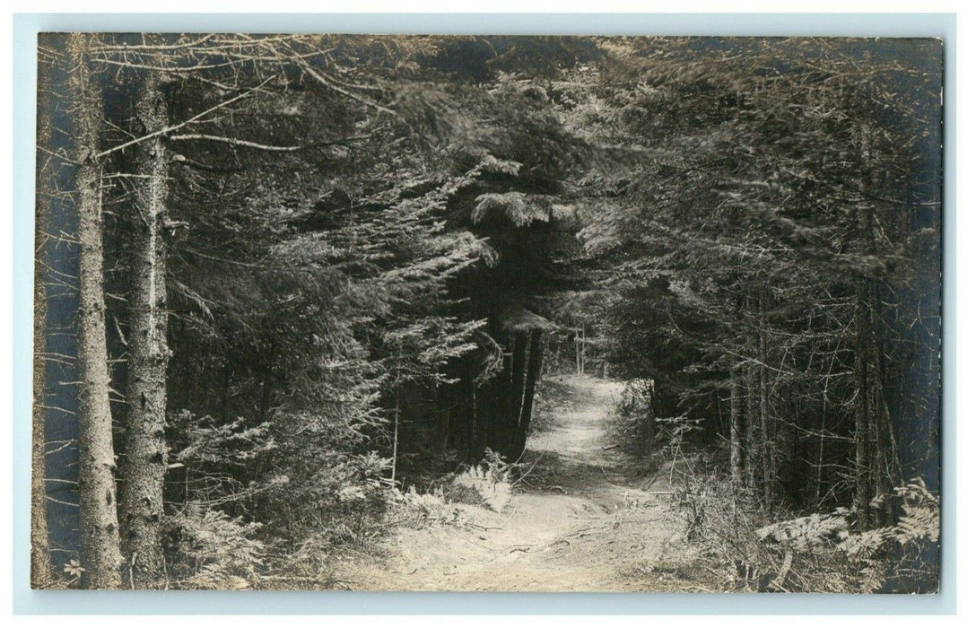 c1910 Squirrel Island Maine ME Unposted Antique RPPC Photo Postcard