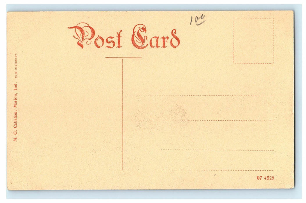 1908 Flag Standing at Soldiers Home, Grant County, Marion Indiana IN Postcard