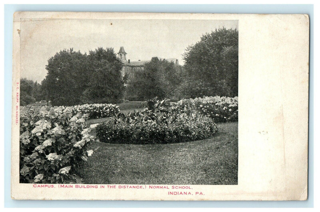 1901 Flowers at the Campus, Main Building in the Distance, Indiana PA Postcard