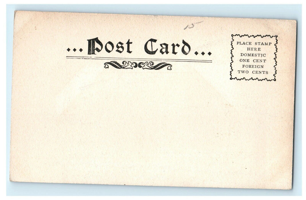 c1920 Public Library Marion County, Indianapolis IN Vintage Postcard