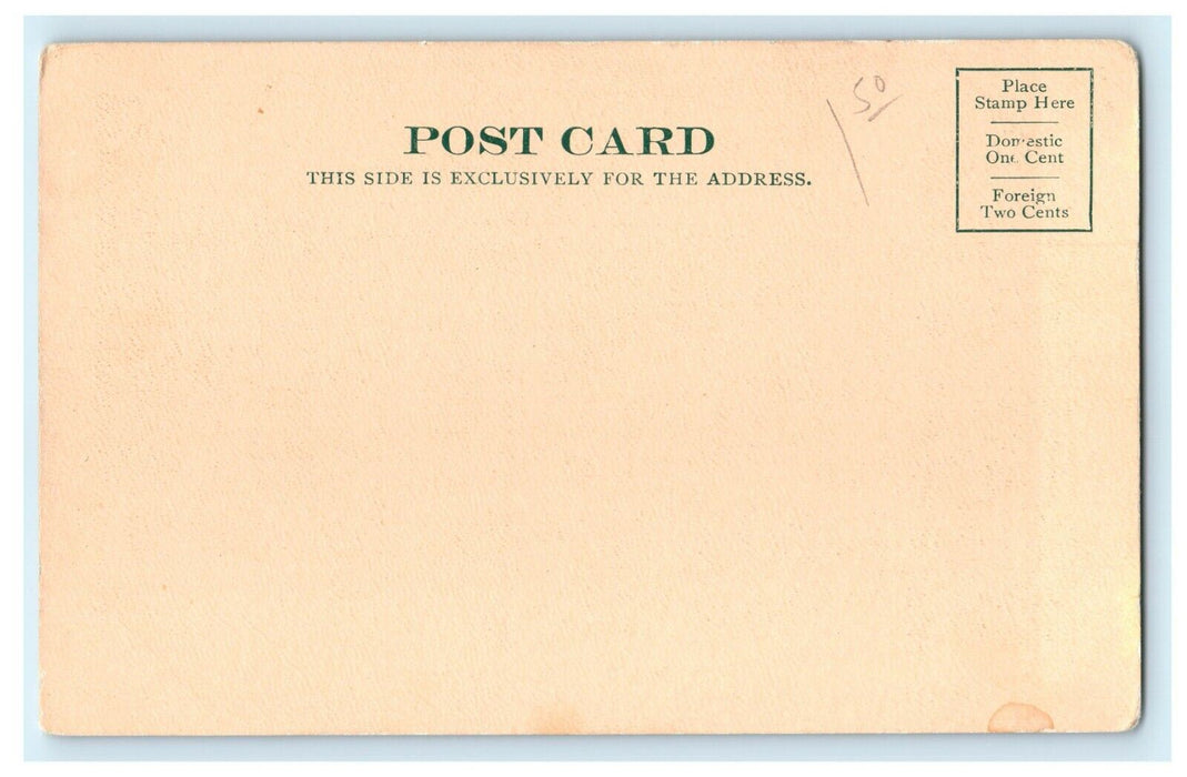 Old Stone Bridge Rochester New Hampshire NH Undivided Back Postcard