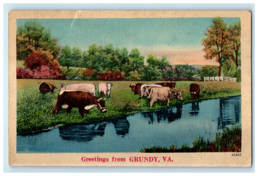 c1940s Cows Drinking Water, Greetings from Grundy Virginia VA Postcard