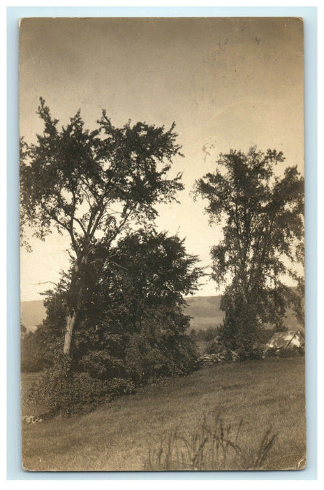 1918 Bradford Countryside New Hampshire NH Posted RPPC Photo Postcard
