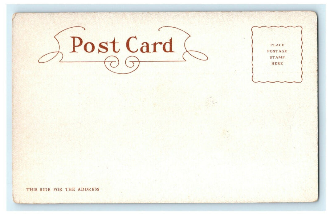 c1905 Rustic Ridge East Northfield Massachusetts MA Unposted Postcard