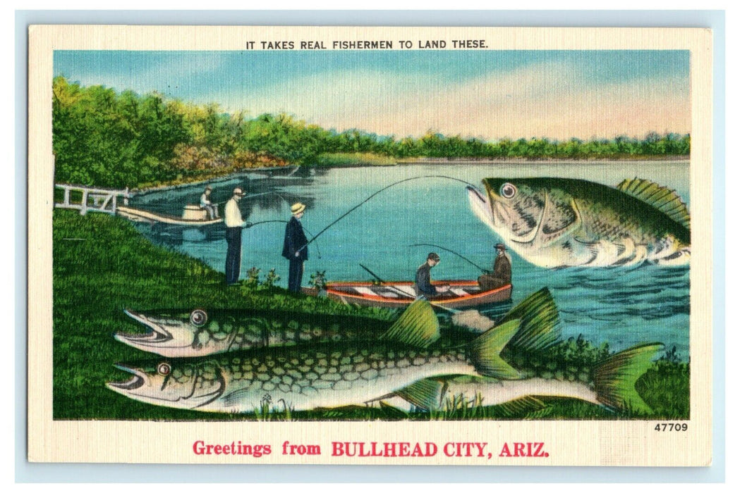 It Takes Real Fisherman to Land These, Greetings from BULLHEAD, AZ Postcard