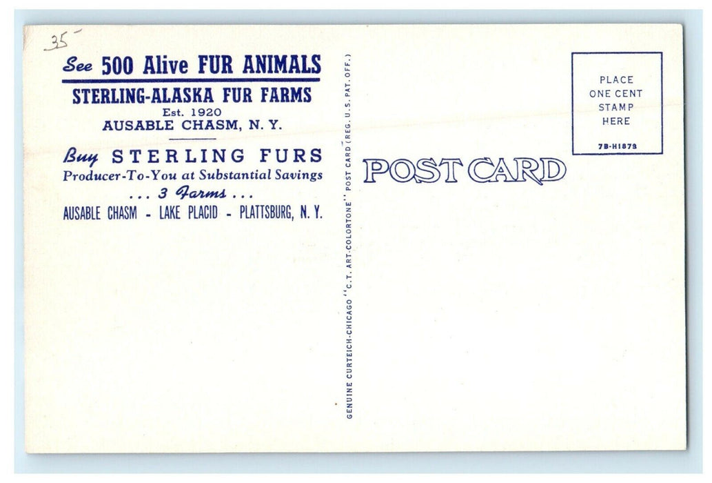 Sterling Alaska Fur Animals Farms Ausable Chasm New York NY Advertising Postcard