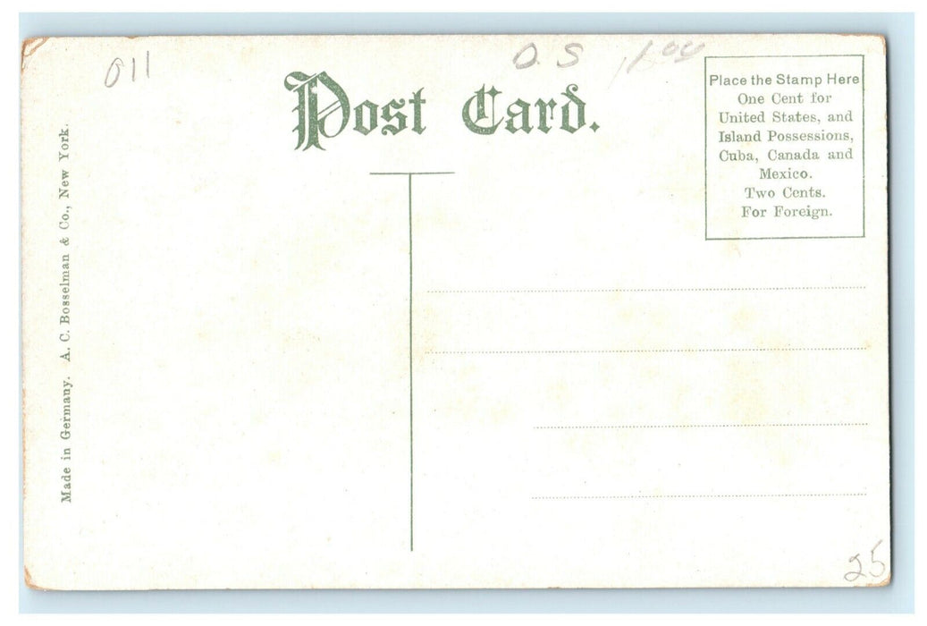 c1910 Fair Bank Park Indianapolis Indiana IN Unposted Antique Postcard