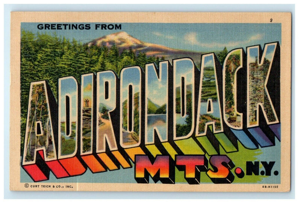 1954 Greetings From Adirondack Mountains New York NY Large Letters Postcard