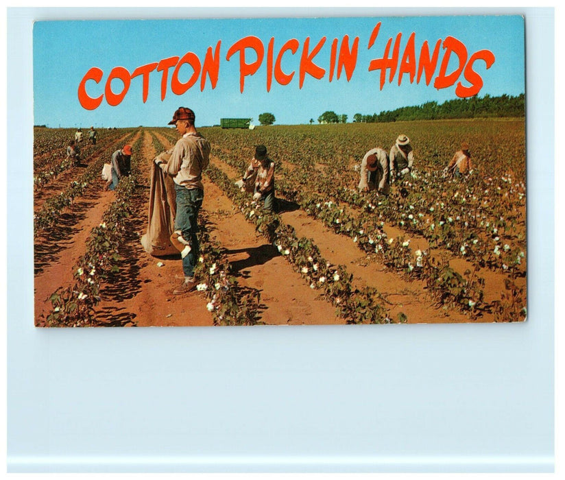 c1970's Cotton Pickin' Hands Farming Field Alabama Unposted Vintage Postcard