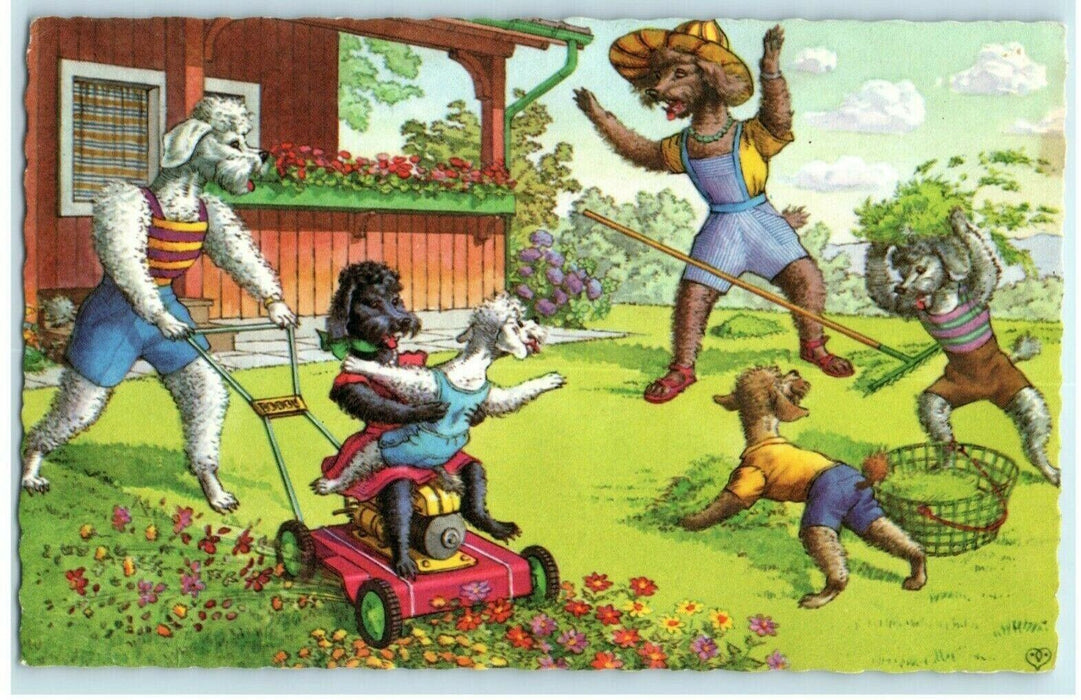 Alfred Mainzer Dogs in Yard Mowing Gardening Anthropomorphic Postcard