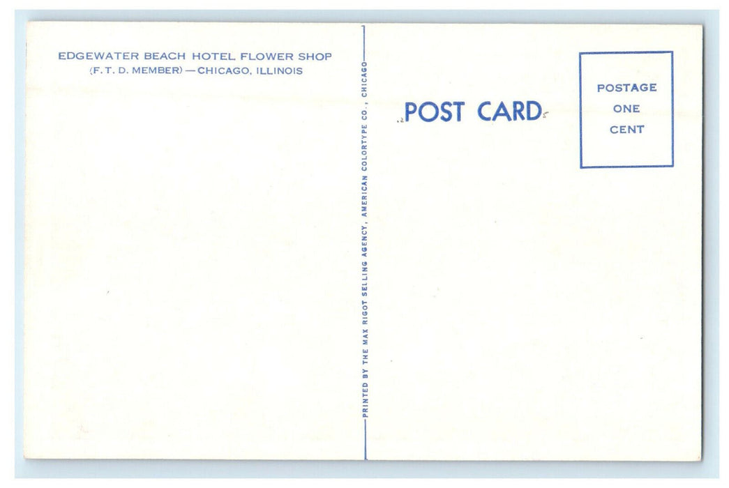 c1940s Edgewater Beach Hotel Flower Shop Chicago Illinois IL Unposted Postcard