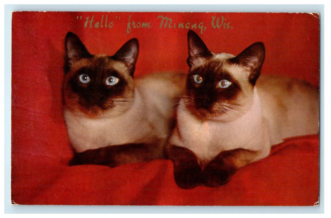 c1950s Cat, Sophisticates of Siam, Hello from Minong Wisconsin WI Postcard
