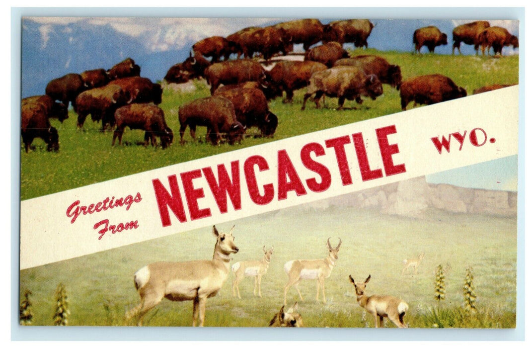 c1960's Greetings From Newcastle Buffalo Wyoming WY Unposted Vintage Postcard