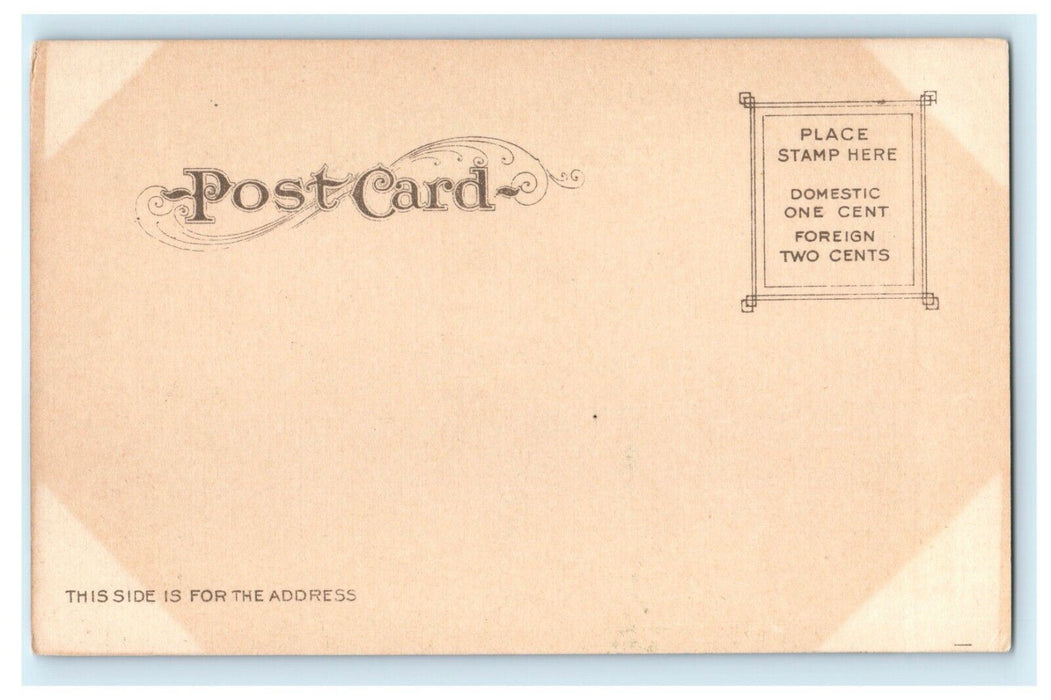 1901 A Forest Driveway Near Tacoma, Washington WA Antique Postcard