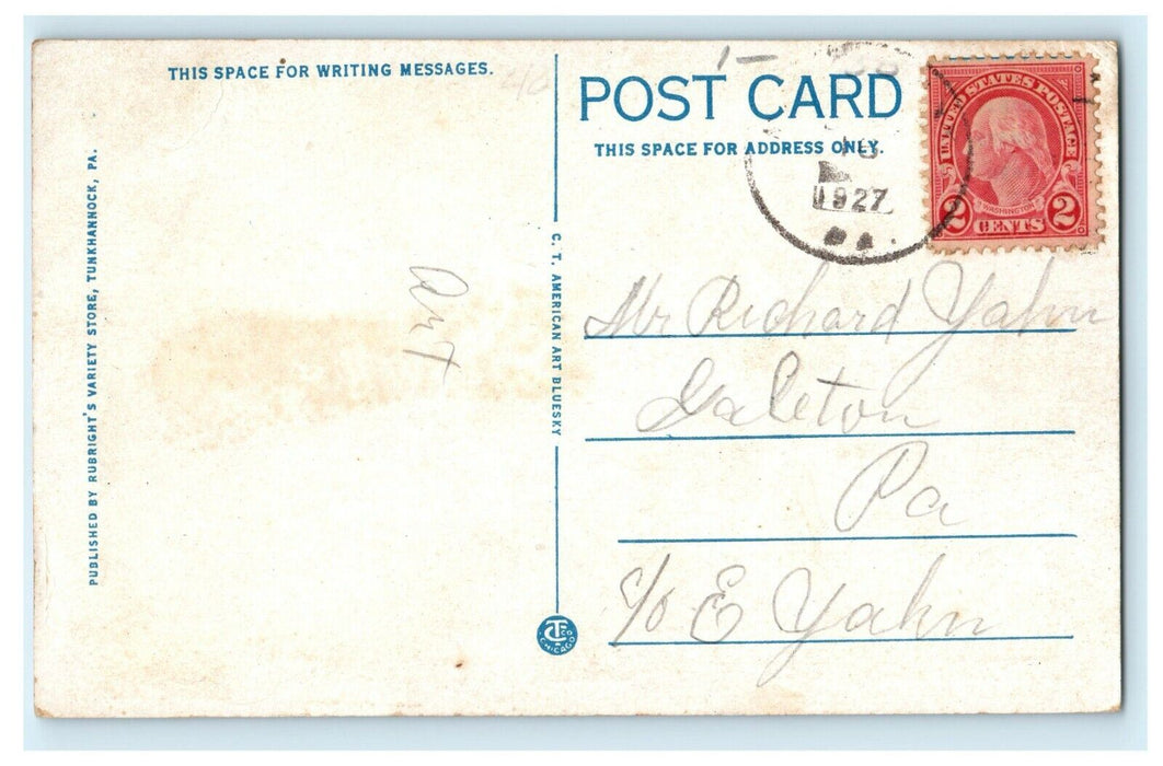 1927 Sullivan Trail And Susquehanna River Near Falls Pennsylvania PA Postcard