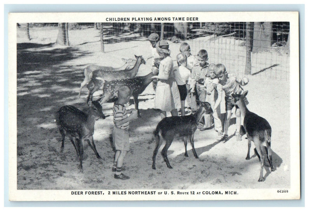 c1940s Children Playing Among Tame Deer Deer Forest Coloma Michigan MI Postcard