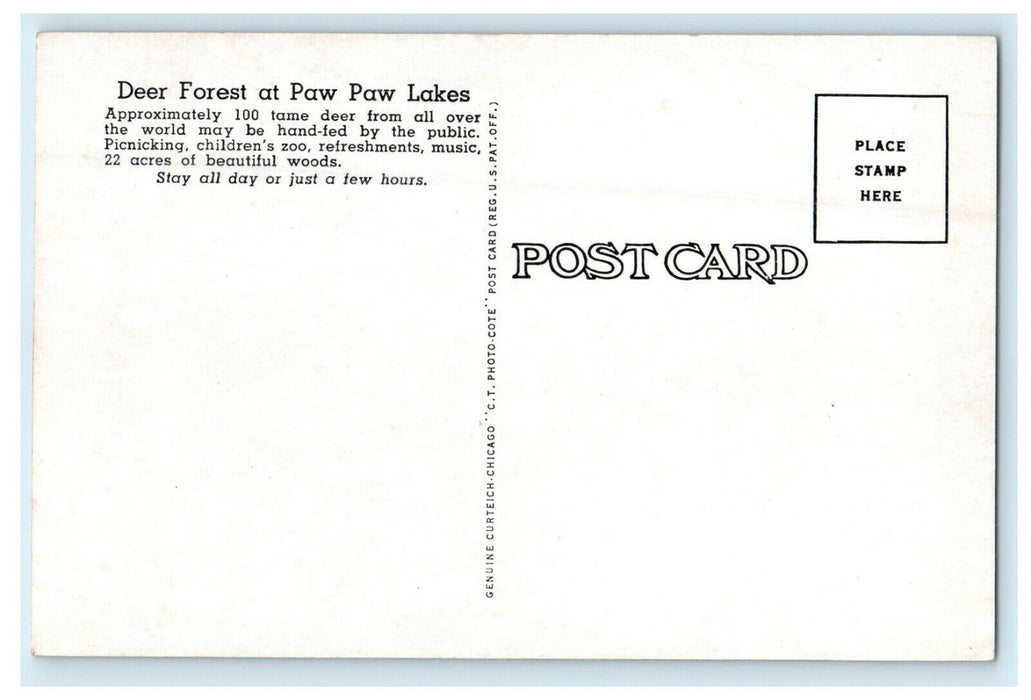 c1940s Children Playing Among Tame Deer Deer Forest Coloma Michigan MI Postcard
