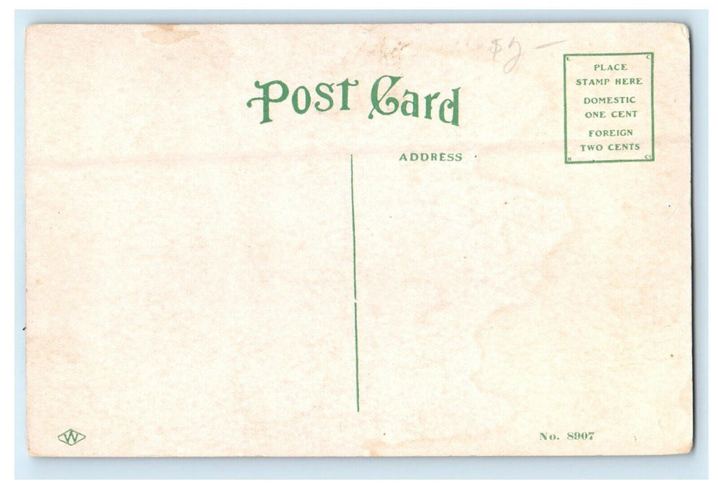 c1910's View Of Home For Aged Des Moines Iowa IA Unposted Antique Postcard