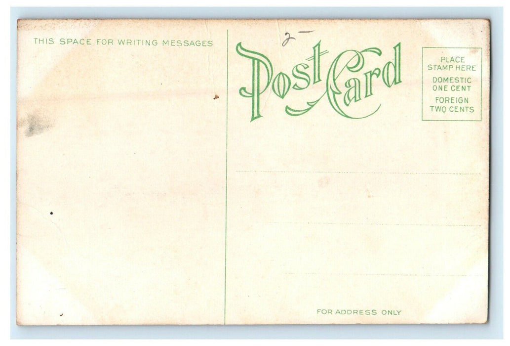 c1910's Union Park Bridge Des Moines Iowa IA Unposted Antique Postcard