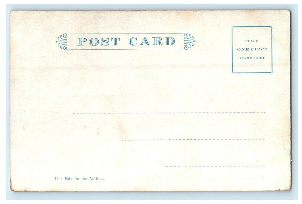 1907 View Of Ryerson Public Library Grand Rapids Michigan MI Antique Postcard