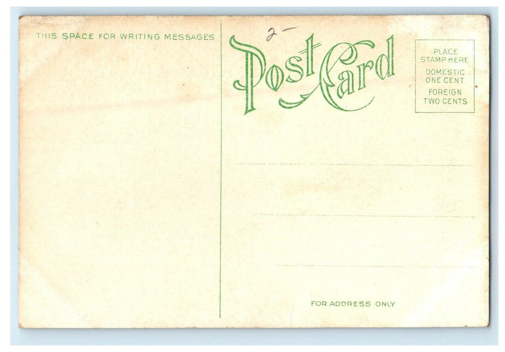 c1910's View Of Lake Ingersoll Park Bridge Des Moines Iowa IA Antique Postcard