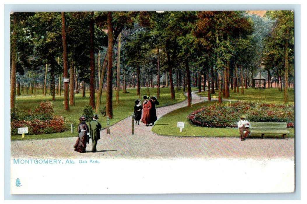 c1905 A View Of Oak Park Montgomery Alaska AK Tuck's Unposted Antique Postcard