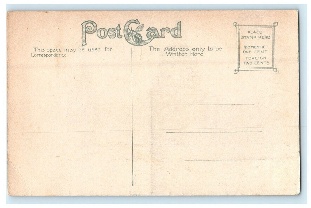 c1910's Iowa State Capitol Des Moines Iowa IA Unposted Antique Postcard