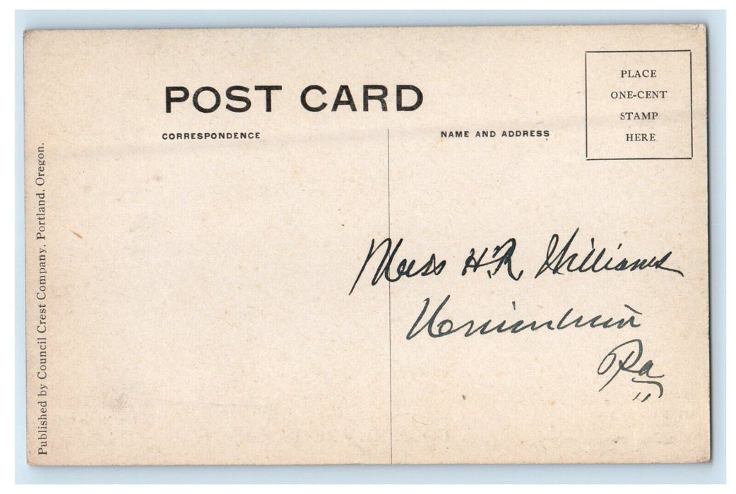 Aerial View Mt. Rainier Council Crest Trolley Train Railroad Antique Postcard