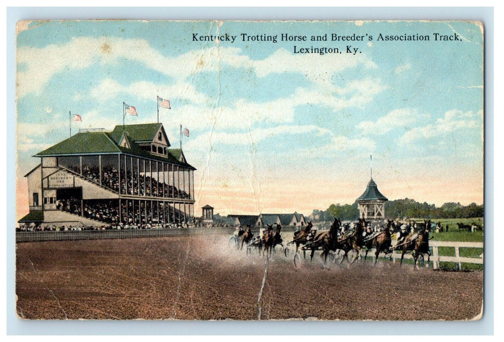 1918 Trotting Horse and Breeder's Association Track Lexington KY Postcard