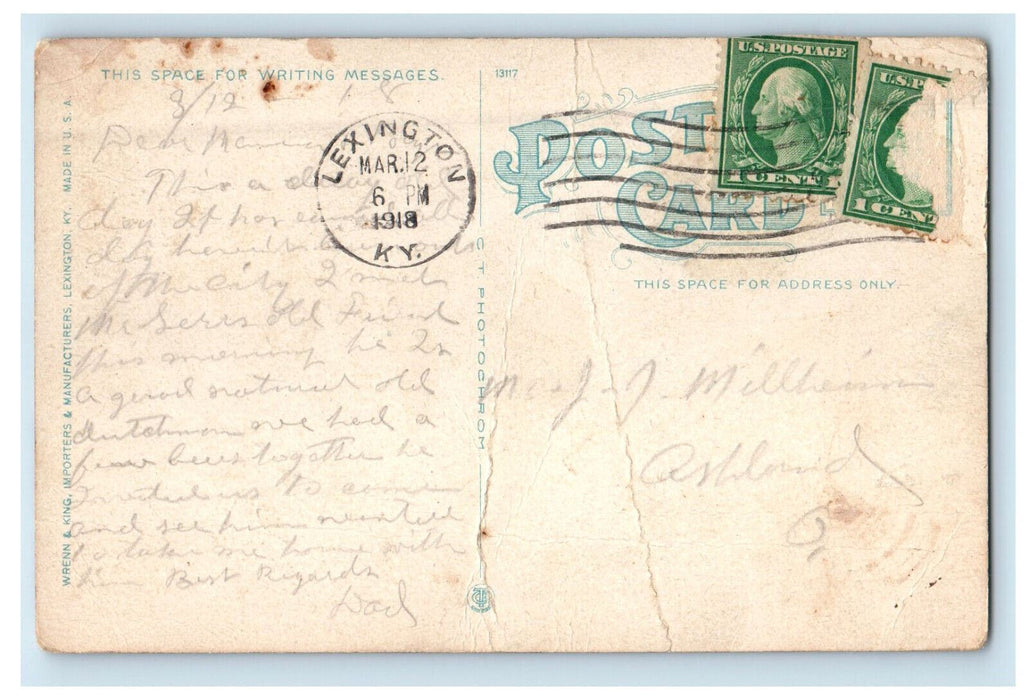 1918 Trotting Horse and Breeder's Association Track Lexington KY Postcard