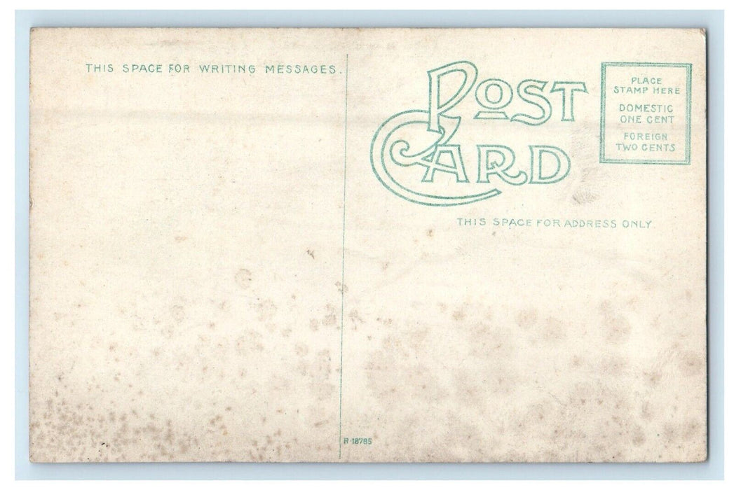 c1910's Portion Of Council Crest Scenic Railway And Boat Portland OR Postcard
