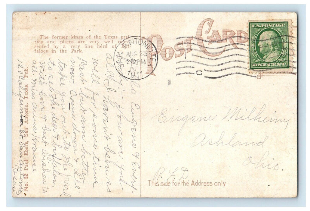 1911 Buffalos In Brackenridge Park San Antonio Texas TX Posted Antique Postcard