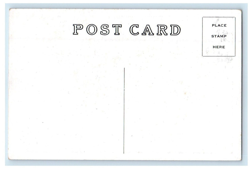 c1910's The Big Tree Oldest Cypress In The US Fence Orlando Florida FL Postcard