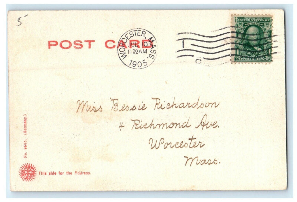1905 Tree Scene Elm Street, Worcester, Massachusetts MA Posted Postcard