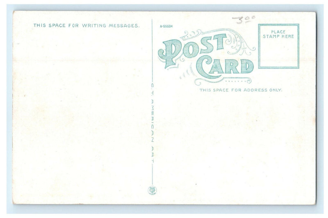 c1920s Looking East Walnut Street, Springfield Missouri MO Unposted Postcard