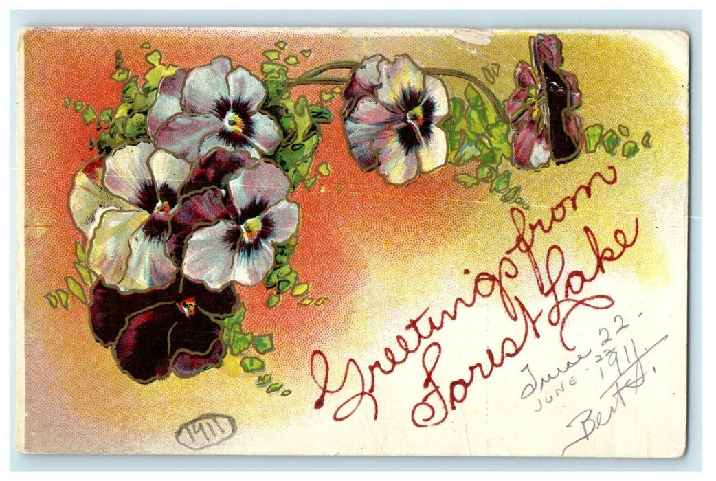 1911 Greetings From Forest Lake Minnesota MT Flowers Antique Postcard