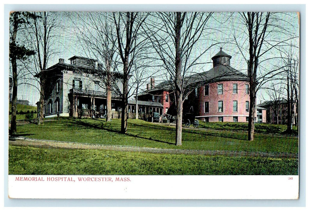 1906 Trees View, Memorial Hospital Worcester Massachusetts MA Antique Postcard