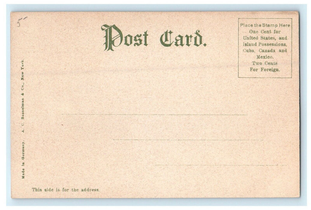 1906 Trees View, Memorial Hospital Worcester Massachusetts MA Antique Postcard