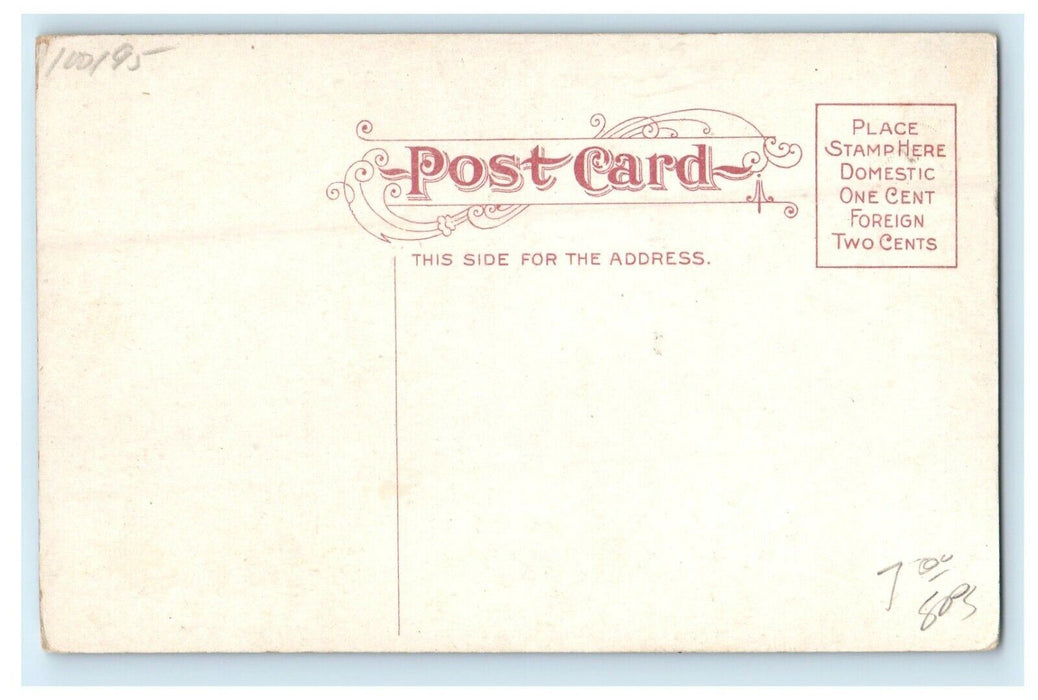 c1910's East Fox St. Bridge City Of Lights Aurora Illinois IL Antique Postcard