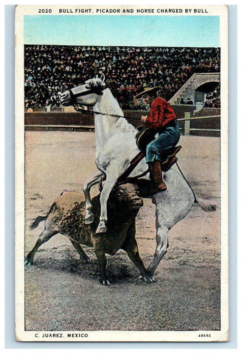 1930 Bull Fight Picador And Horse Charged By Bull C. Suarez Mexico Postcard