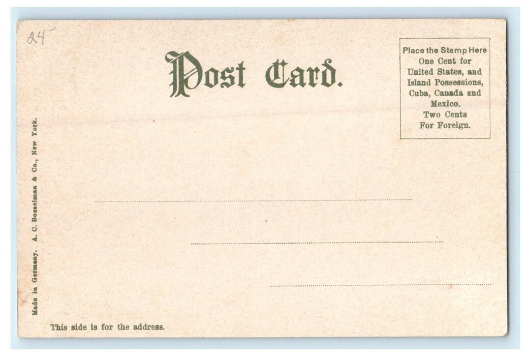 1906 White City, Worcester, Massachusetts MA Antique Unposted Postcard
