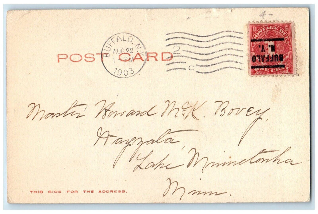 1903 View Of Mount St. Joseph Academy Entrance Buffalo New York NY Postcard