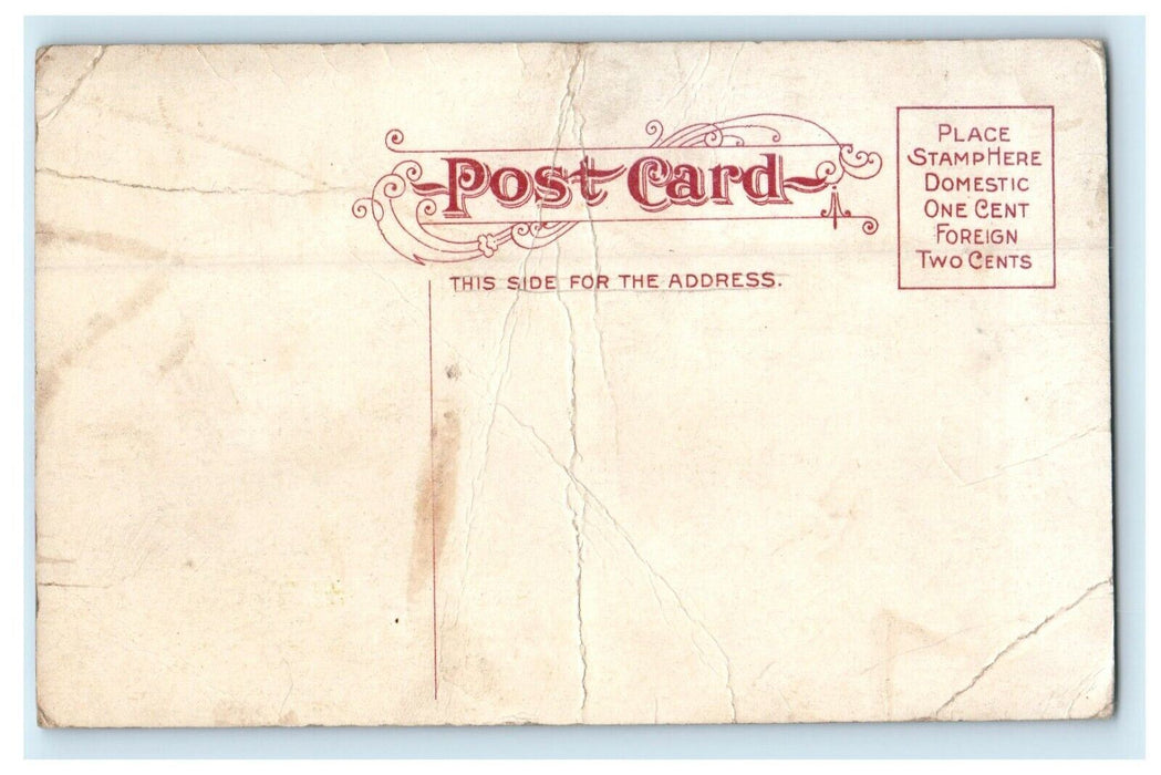 1910 City of Lights in East Fox Aurora Illinois IL Antique Unposted Postcard