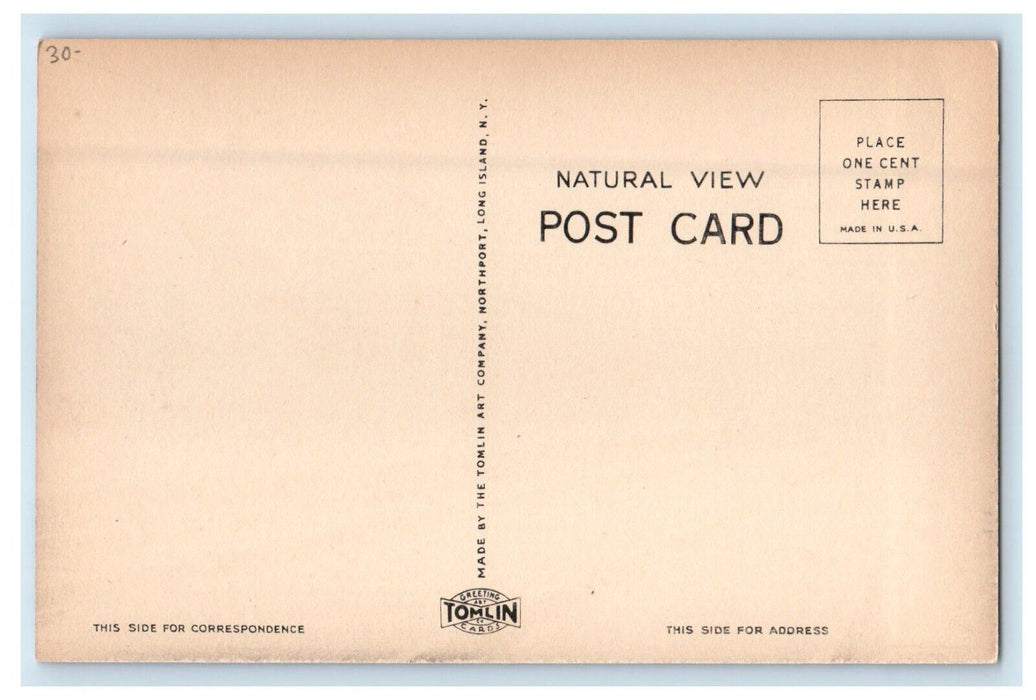Long Island Railroad Station Bayport Cars Long Island New York NY Postcard