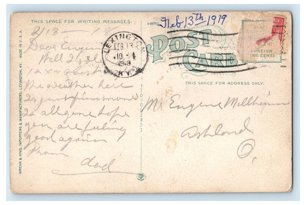 1919 Transylvania University Lexington Kentucky KY Posted Antique Postcard